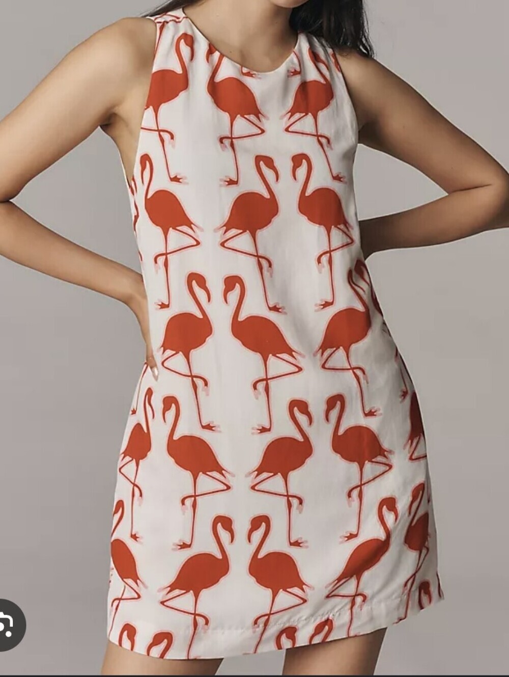 NWT Maeve White Mini Dress with Red Flamingo Print-linen Blend-Size:XL